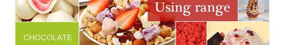 freeze dried fruit powder for smoothies factory