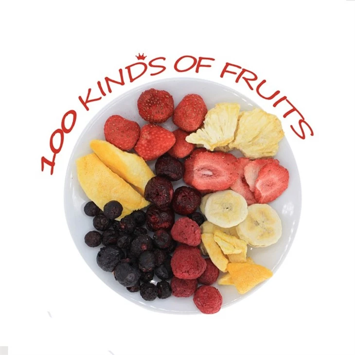 Freeze Dried Food Fruit